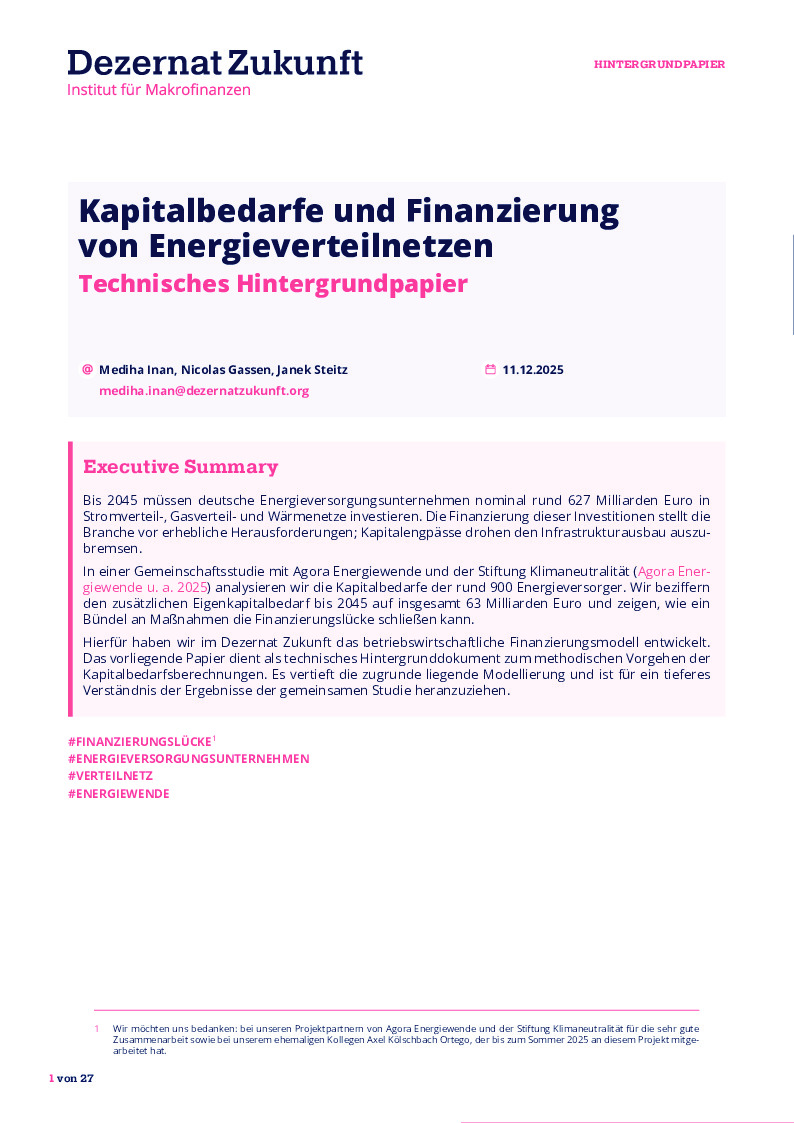 inan-2025-kapitalbedarfe-und-finanzierung-von-energieverteilnetzen.pdf